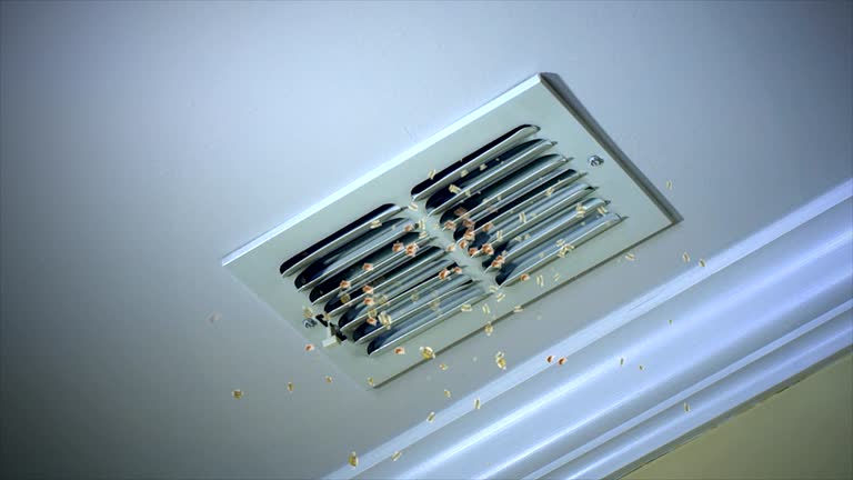 Air Duct Mold Removal in Kaukauna, WI