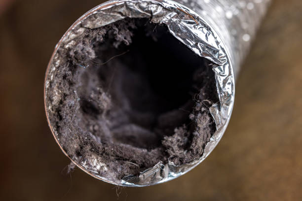 Best Affordable Duct Cleaning Services  in Kaukauna, WI