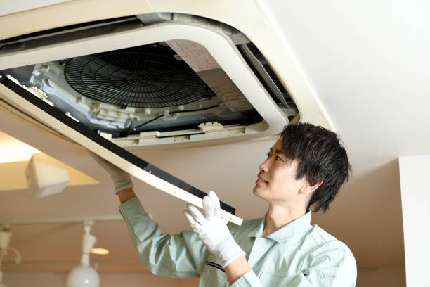 Best Air Duct Mold Removal  in Kaukauna, WI